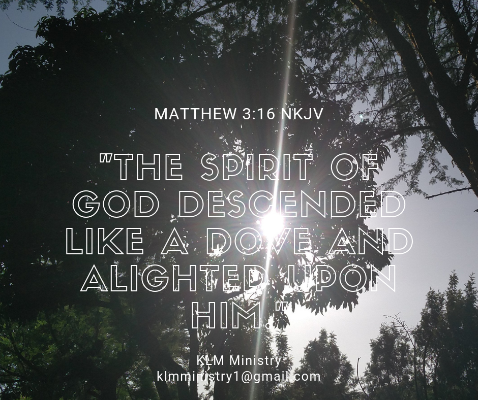 KLM Ministry Like a Dove